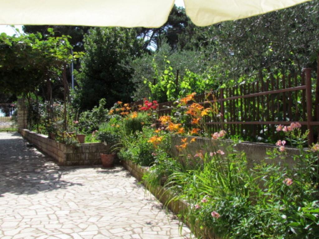 Apartment Vesna Rovinj Eksteriør bilde
